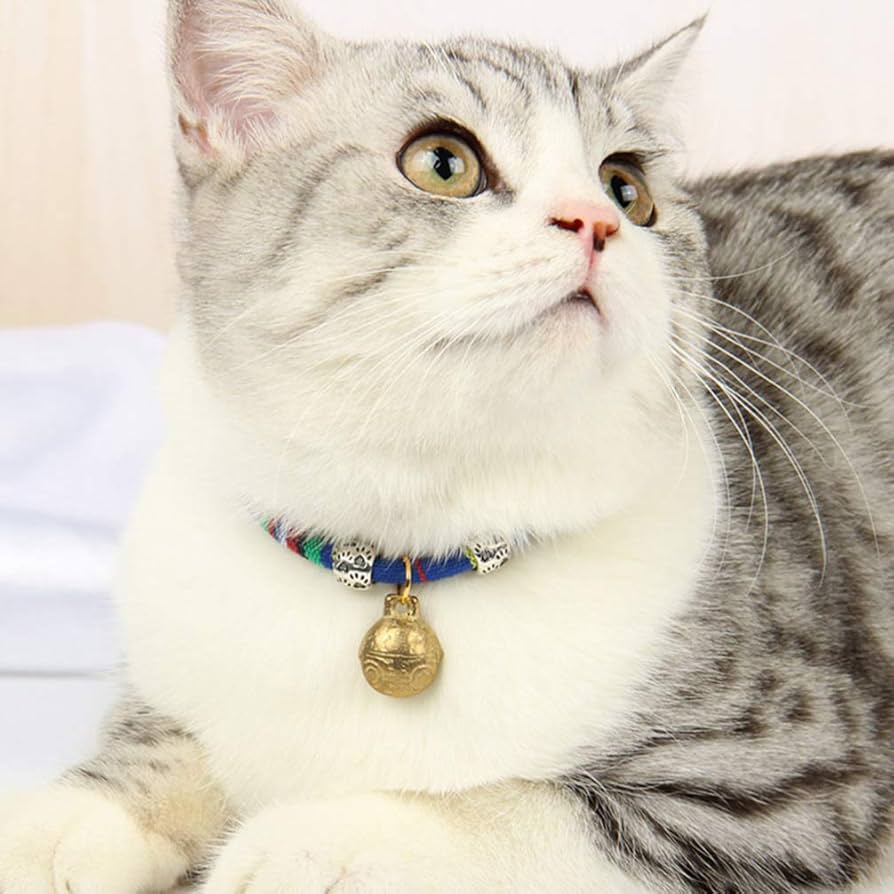 Amazon | VORCOOL 猫 首輪 鈴付き やわらかい かわいい 調整可能